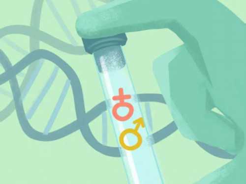 移植免疫球蛋白多久打一次？免疫球蛋白是移植前打还是移植后打？