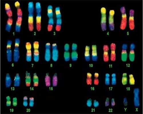 广州代怀网正规 广州生育津贴一般能拿多少？ ‘彩超单子能看男女’