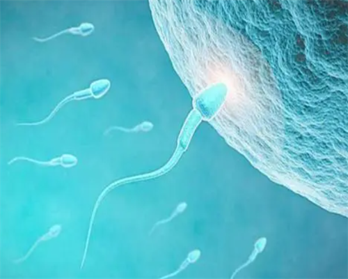 广州代怀中心好吗,不想上当受骗？试管婴儿开始之前你需要了解这些事情-上海