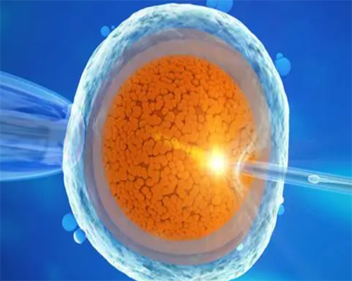 移植后开叉下蹲有事没，移植后弯腰有什么影响？