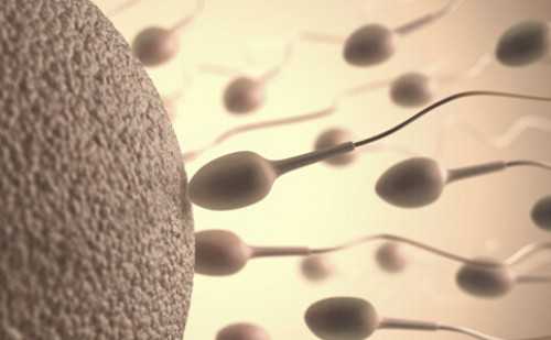 广州做试管代生几钱 2026广州试管婴儿医院大全 ‘32周b超单看男女’