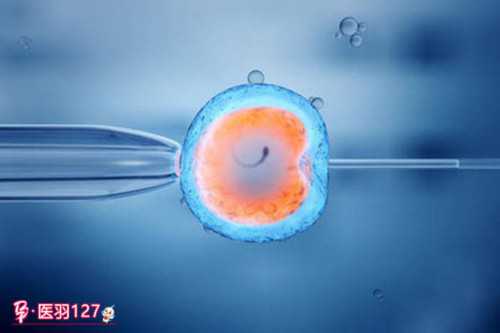 试管移植哪个季节做好一点？试管移植什么季节容易着床？