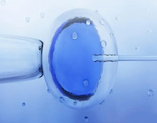 流产后吃什么中药调理~供卵代孕机构