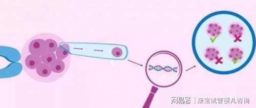 广州5A级代孕公司,6个步骤带你了解试管婴儿流程！-试管夫妻检查费用_移植成功