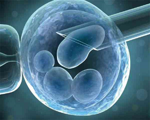 广州寺庙斋饭视频,超度是佛教好还是道教好道家的超度更容易感化婴灵