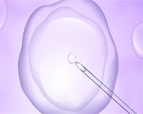 广州哪里供卵靠谱,试管婴儿不着床怎么办-试管怀孕后可以吃姜吗女性-试管成功