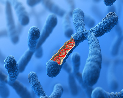 广州寺庙买手链有什么讲究,童子命被收回的预兆分享