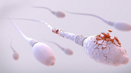 广州佛教超度亡灵音乐,超度婴灵需要起名字吗，法事的本意是帮助，2026必看