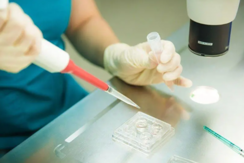 卵泡排了有黄体了代表什么~代怀产子