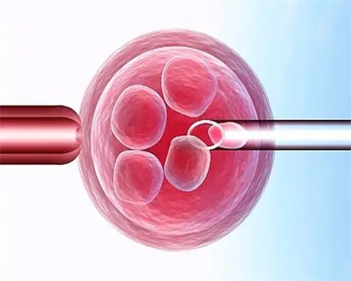 广州供卵试管要求,广州有提供供卵服务的医院-代孕公司的费用