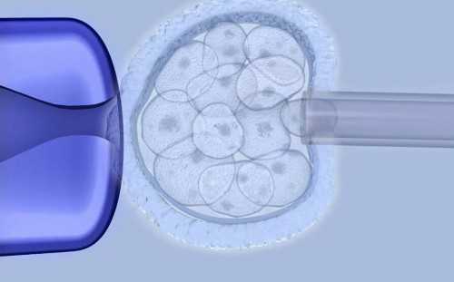 广州助孕供卵生子,广州试管私人医院,广州试管婴儿最好的医院